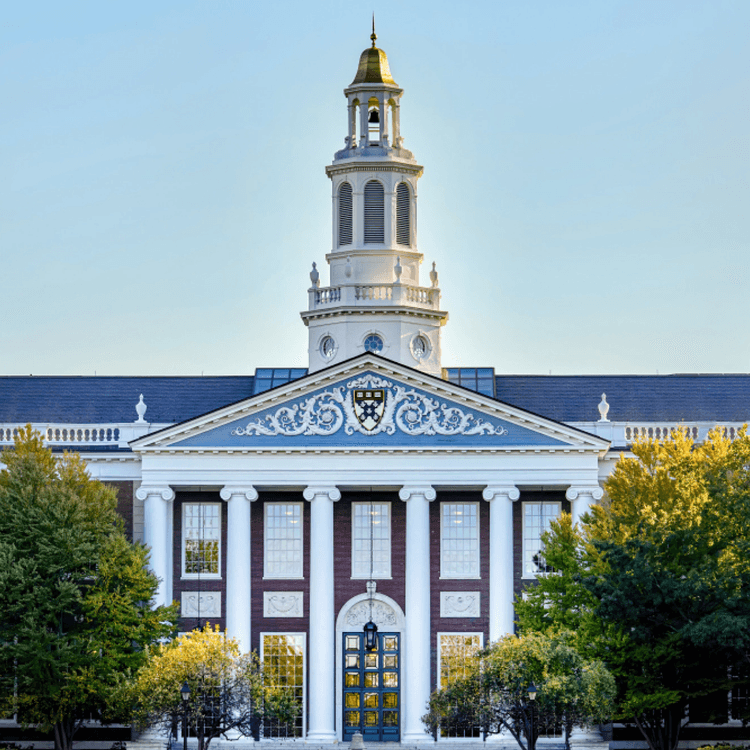 Apply to University